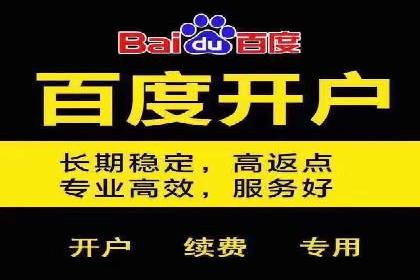 行业领先企业的SEM运营推广实战